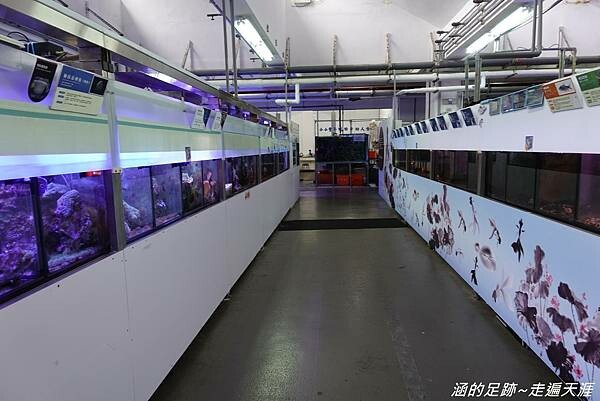 DSC01870.jpg DSC01870.jpg