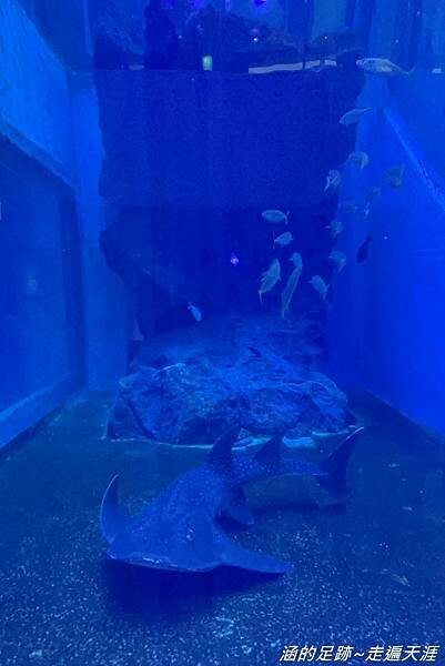 IMG_1458.jpg IMG_1458.jpg