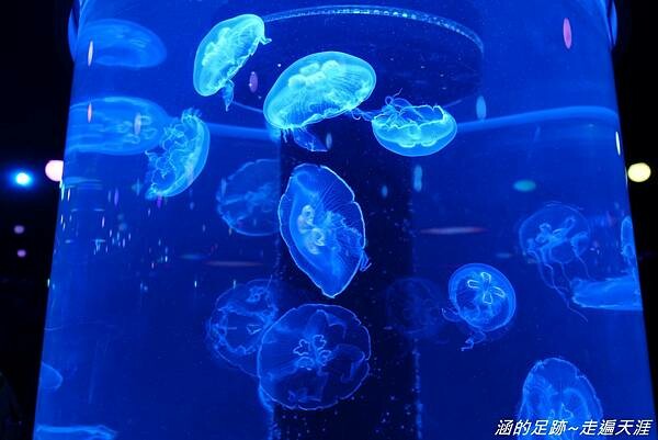 DSC01712.jpg DSC01712.jpg