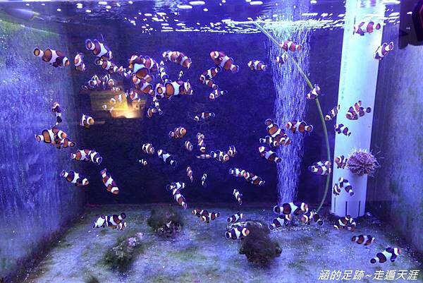 DSC01865.jpg DSC01865.jpg