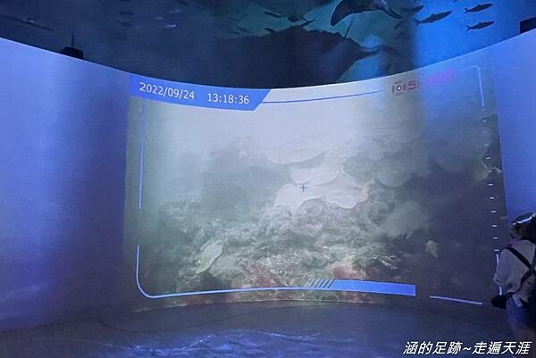 IMG_1437.jpg IMG_1437.jpg