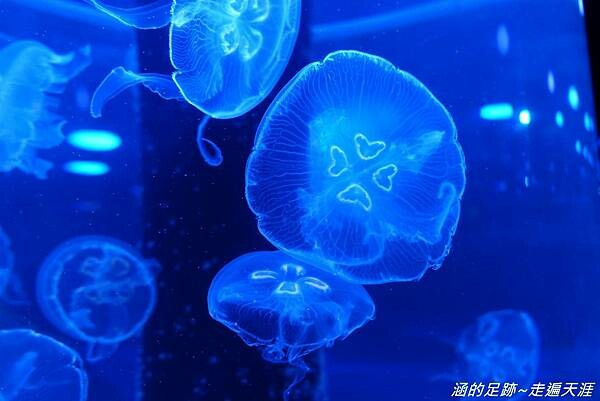 DSC01716.jpg DSC01716.jpg