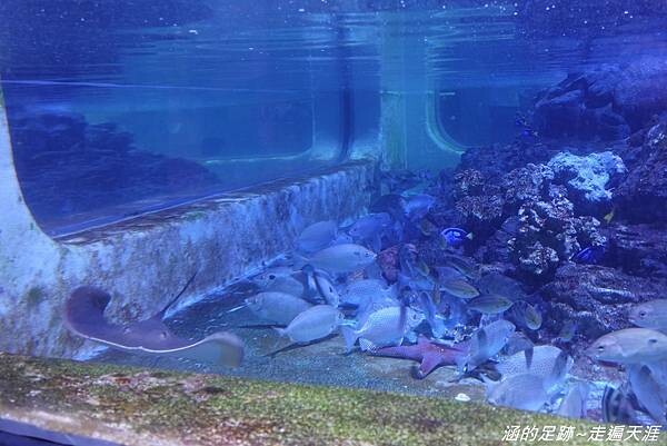 DSC01552.jpg DSC01552.jpg