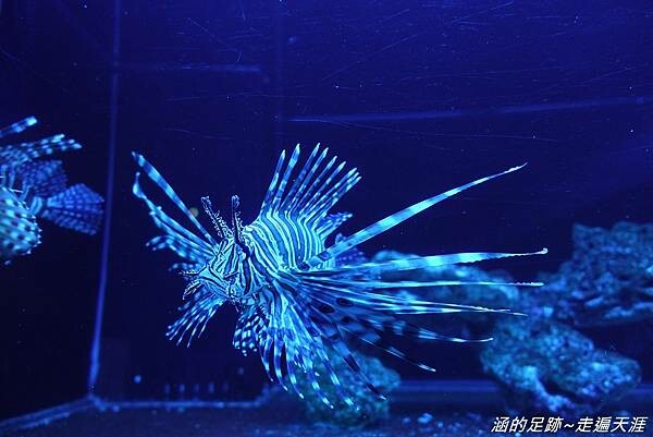 DSC01797.jpg DSC01797.jpg