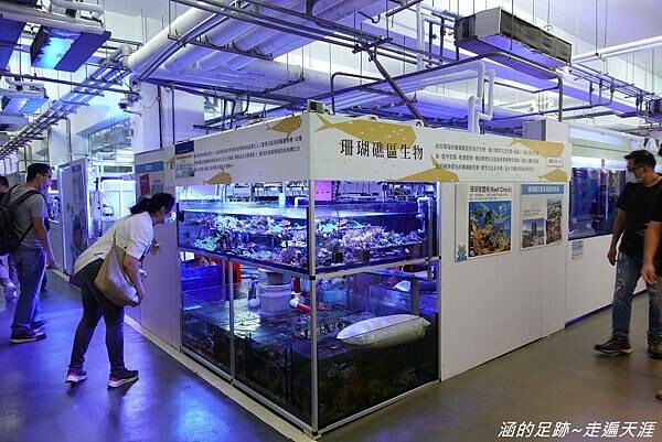 DSC01852.jpg DSC01852.jpg