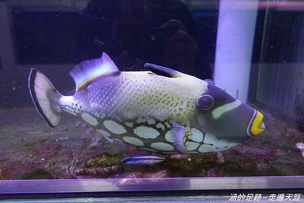 DSC01883.jpg DSC01883.jpg