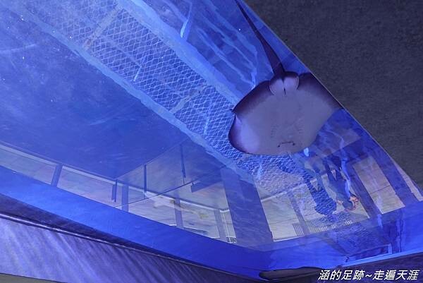 DSC01639.jpg DSC01639.jpg