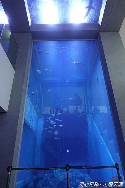 DSC01583.jpg DSC01583.jpg