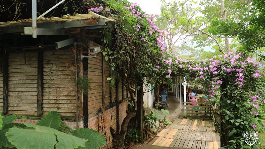 內灣老街美食、內灣老街附近景點(交通方式.停車場.介紹攻略)，新竹景點一日遊 - 珍太妃旅遊親子生活