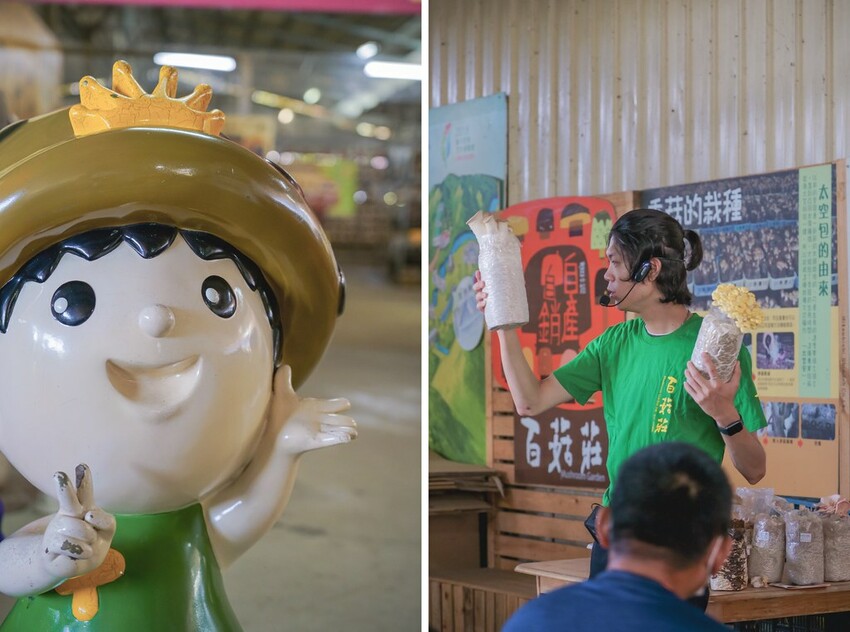 DSC08555-side DSC08555-side