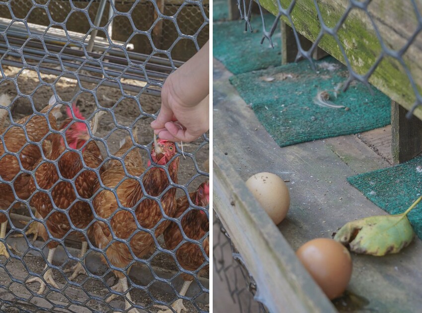 DSC08607-side DSC08607-side