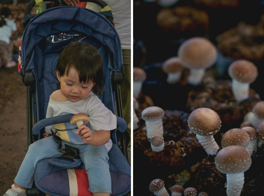 DSC08578-side DSC08578-side