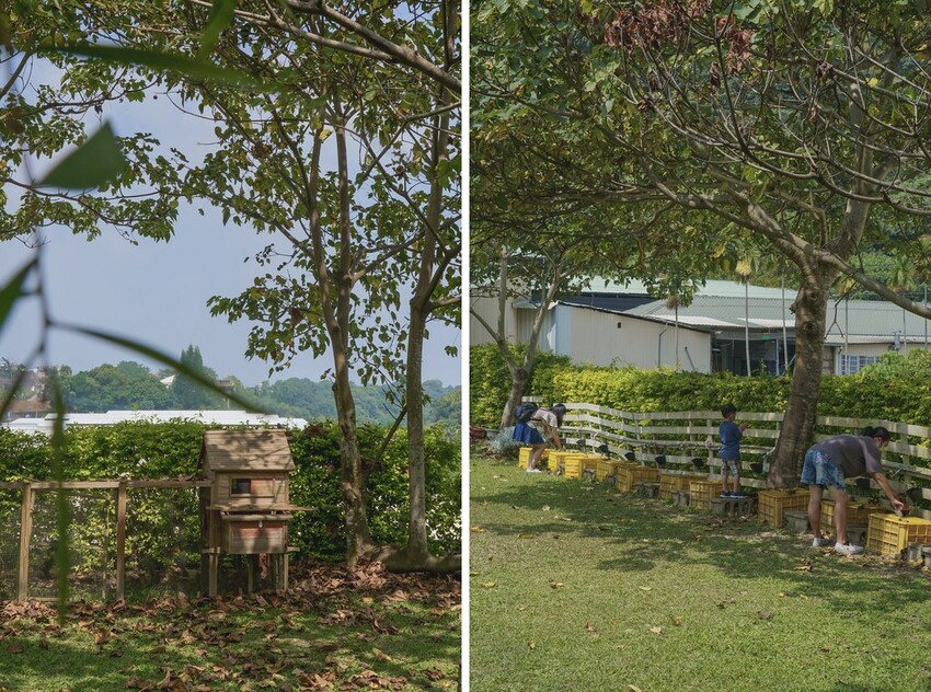 DSC08649-side DSC08649-side