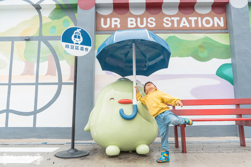 中秋節最應景的景點，來去跟柚子拍照吧～～～