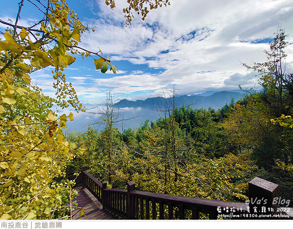 大崙山銀杏-14.jpg 大崙山銀杏-14.jpg