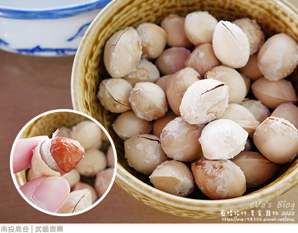 大崙山銀杏-58.jpg 大崙山銀杏-58.jpg