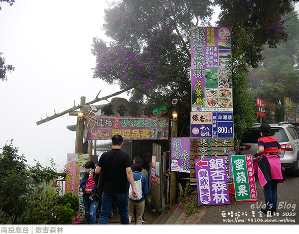 大崙山銀杏-32.jpg 大崙山銀杏-32.jpg