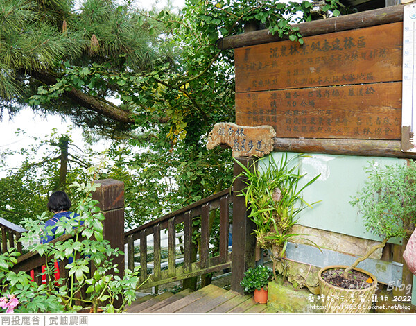 大崙山銀杏-03.jpg 大崙山銀杏-03.jpg