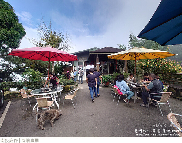 大崙山銀杏-52.jpg 大崙山銀杏-52.jpg