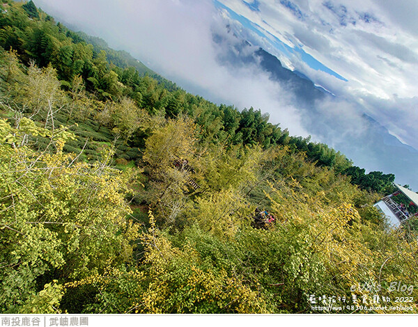 大崙山銀杏-24.jpg 大崙山銀杏-24.jpg