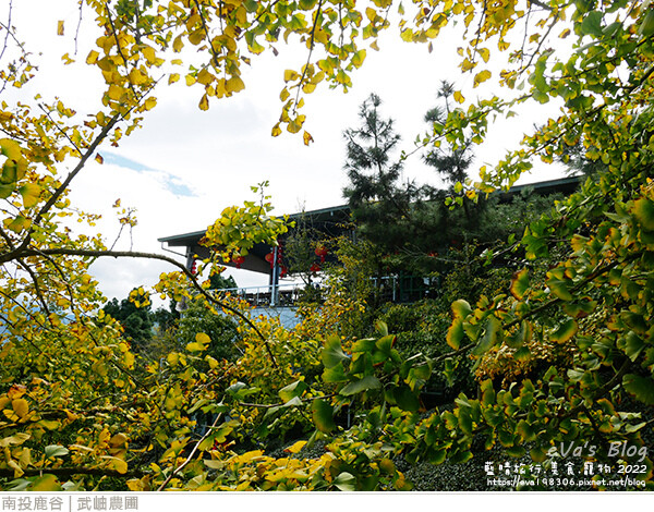 大崙山銀杏-16.jpg 大崙山銀杏-16.jpg