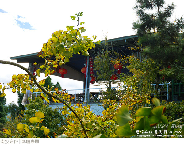 大崙山銀杏-17.jpg 大崙山銀杏-17.jpg