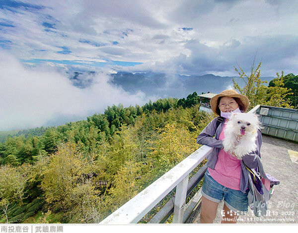大崙山銀杏-29.jpg 大崙山銀杏-29.jpg