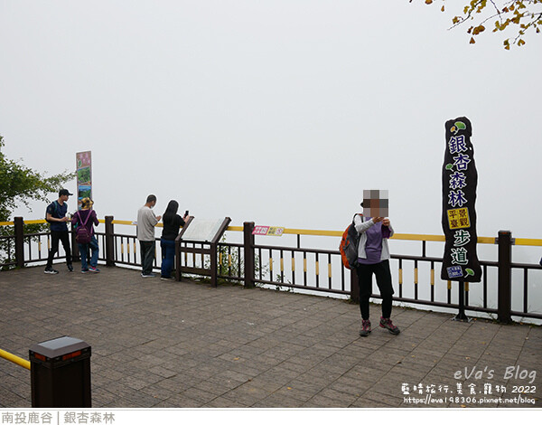 大崙山銀杏-33.jpg 大崙山銀杏-33.jpg