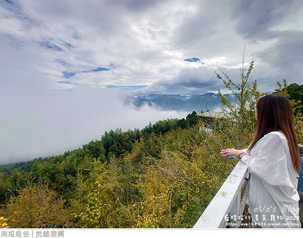 大崙山銀杏-31.jpg 大崙山銀杏-31.jpg