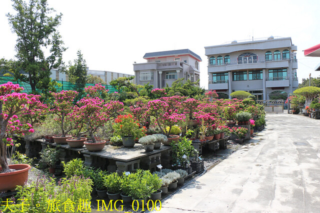 IMG_0100.jpg - 彰化田尾公路花園 20221014