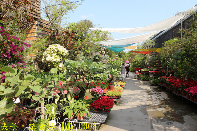 IMG_0008.jpg - 彰化田尾公路花園 20221014