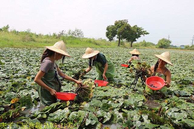 IMG_1192.jpg - 官田菱角節 20221005 IMG_1192.jpg - 官田菱角節 20221005