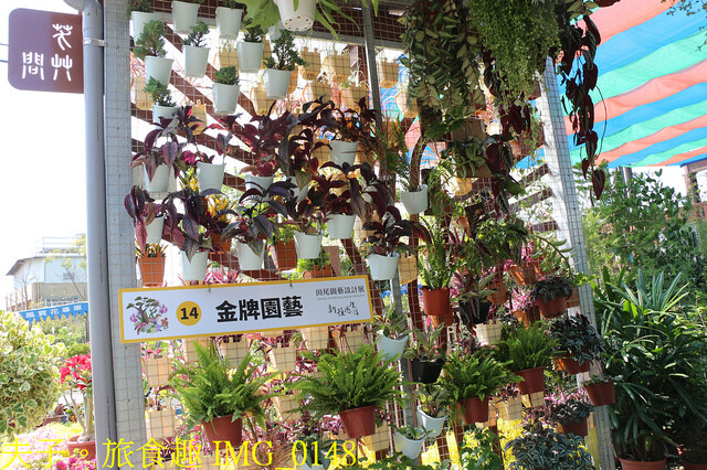 IMG_0148.jpg - 彰化田尾公路花園 20221014