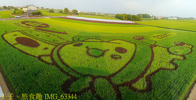 IMG_63344.jpg - 2022台南好米季 20220605