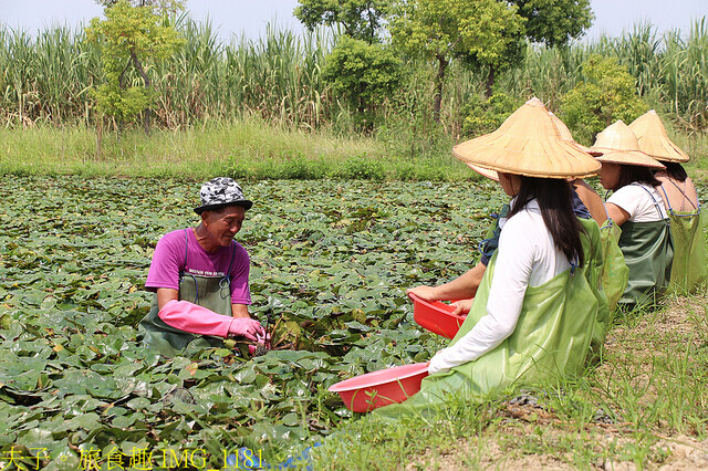 IMG_1181.jpg - 官田菱角節 20221005 IMG_1181.jpg - 官田菱角節 20221005