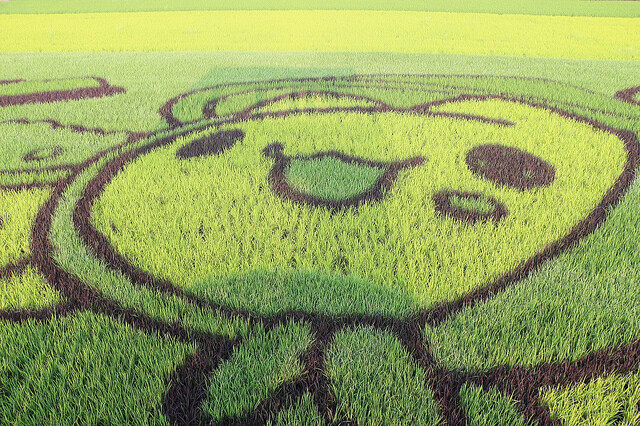 IMG_1598.jpg - 2022台南好米季 20220605