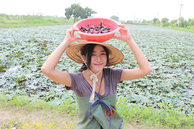 IMG_1269.jpg - 官田菱角節 20221005 IMG_1269.jpg - 官田菱角節 20221005