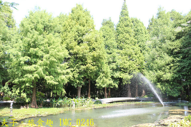 IMG_0246.jpg - 菁芳園 20221014