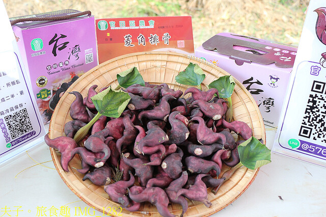 IMG_1282.jpg - 官田菱角節 20221005 IMG_1282.jpg - 官田菱角節 20221005