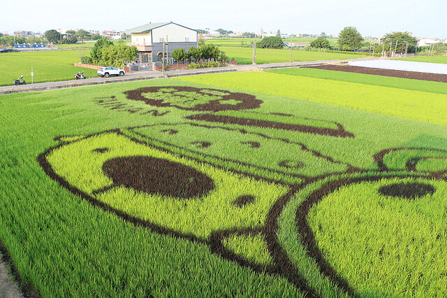 IMG_1597.jpg - 2022台南好米季 20220605