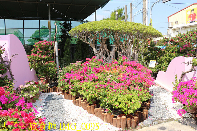 IMG_0095.jpg - 彰化田尾公路花園 20221014