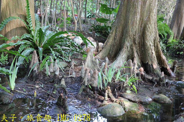 IMG_0278.jpg - 菁芳園 20221014