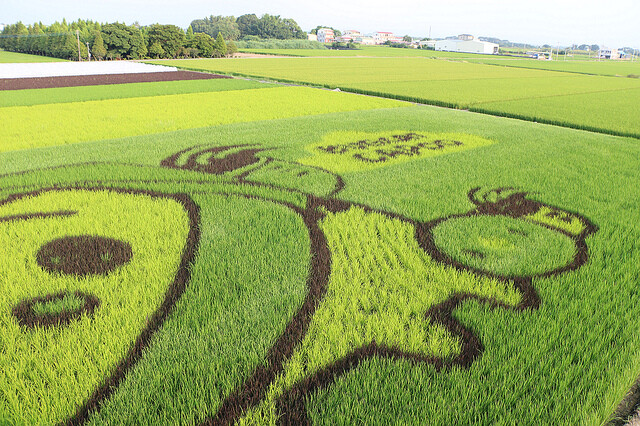 IMG_1599.jpg - 2022台南好米季 20220605