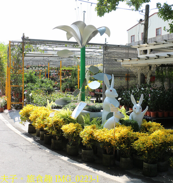 IMG_0223-1.jpg - 彰化田尾公路花園 20221014