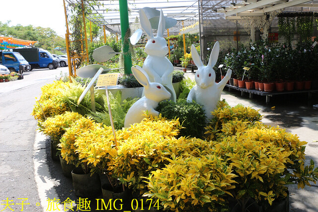 IMG_0174.jpg - 彰化田尾公路花園 20221014