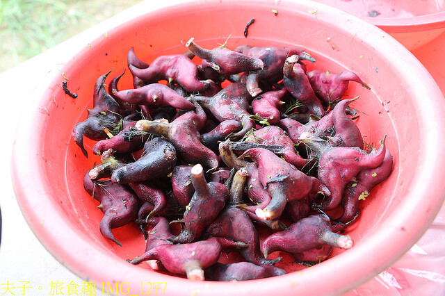 IMG_1277.jpg - 官田菱角節 20221005 IMG_1277.jpg - 官田菱角節 20221005