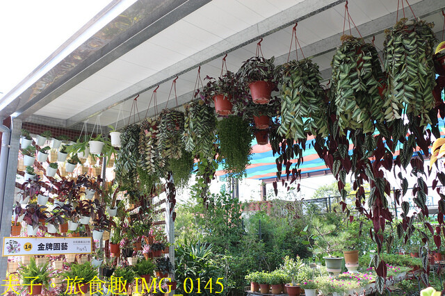 IMG_0145.jpg - 彰化田尾公路花園 20221014