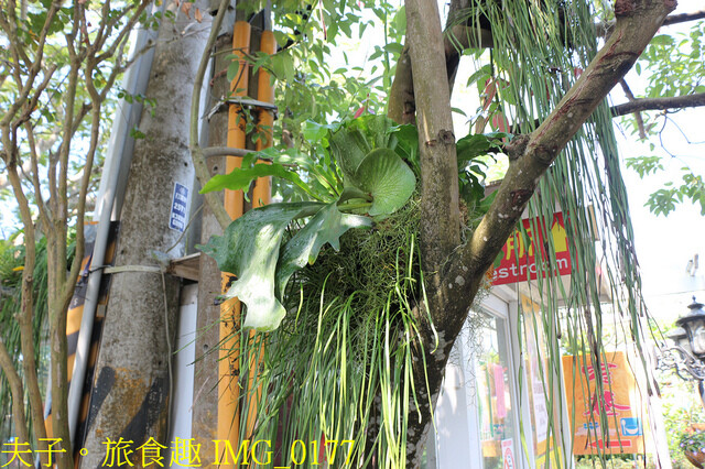 IMG_0177.jpg - 彰化田尾公路花園 20221014