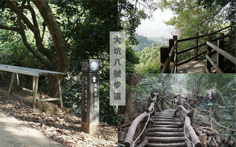 8號步道 8號步道