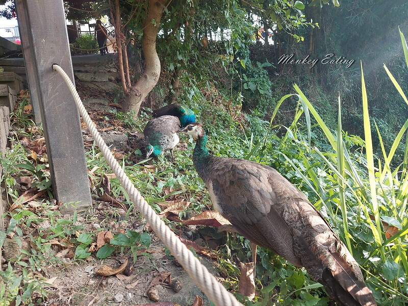 20220924_072734 20220924_072734